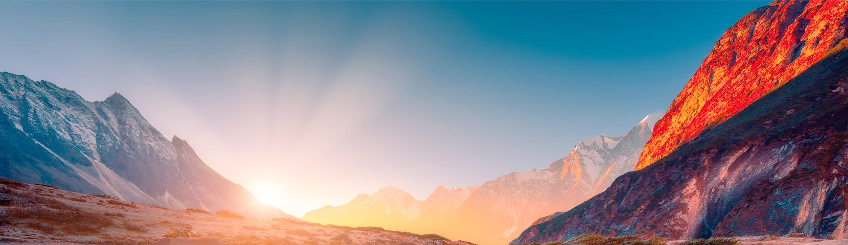 关于太平洋在线